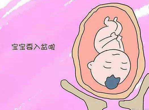 苏州市免费生育力检查是真的吗？真相曝光！